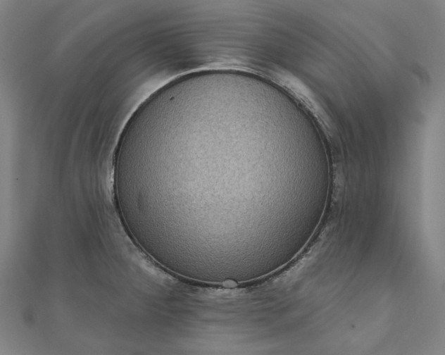 X0000111461284200907271244