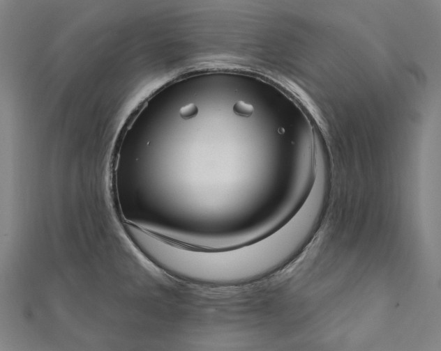 X0000111461285200907271244