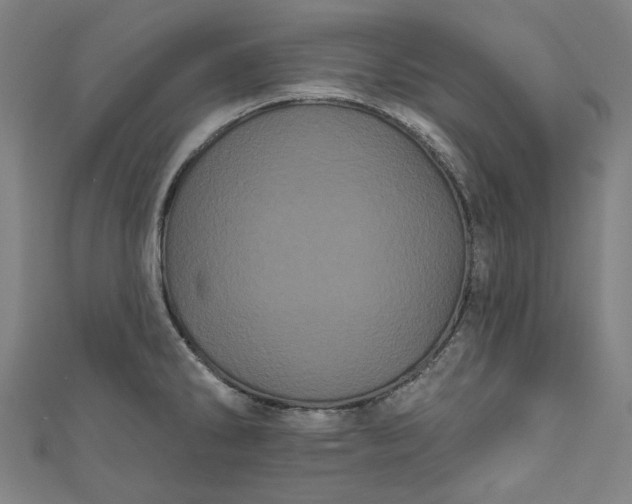 X0000111461286200907271244