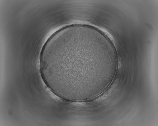 X0000111461287200907271244