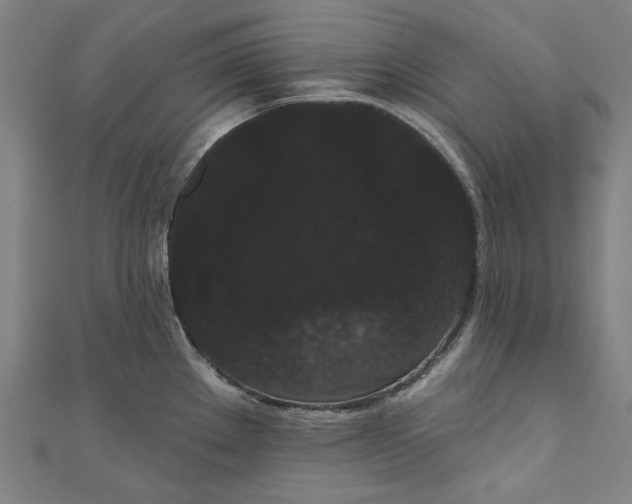 X0000111461289200907271244