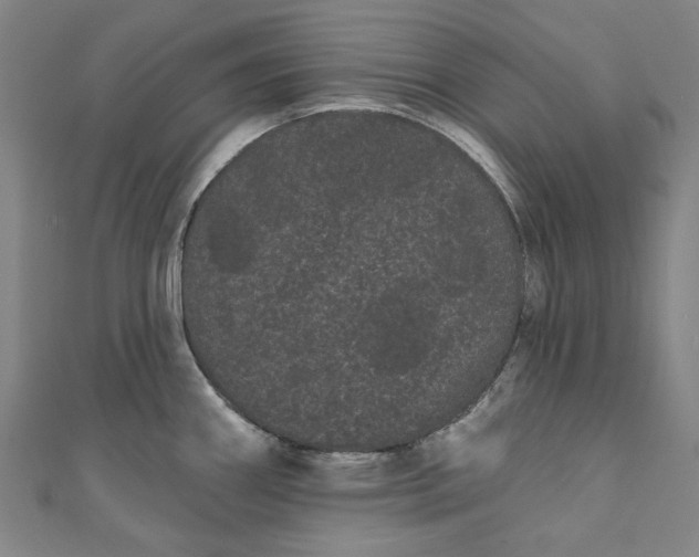 X0000111461290200907271243