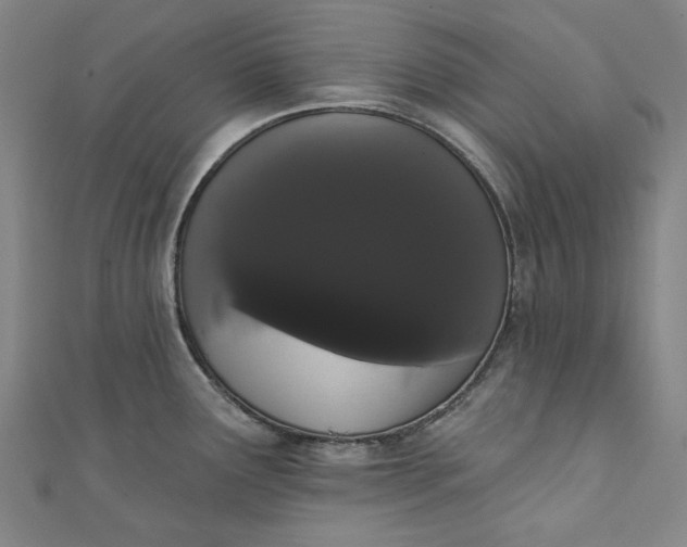 X0000111461291200907271243