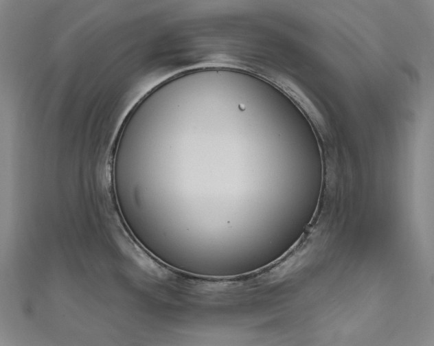 X0000111461292200907271243