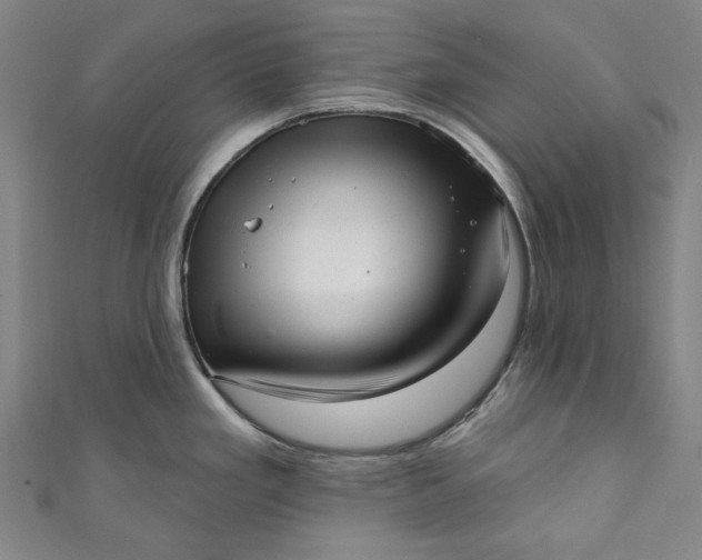 X0000111461293200907271243