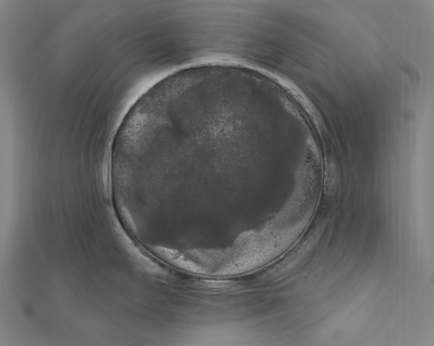 X0000111461295200907271243