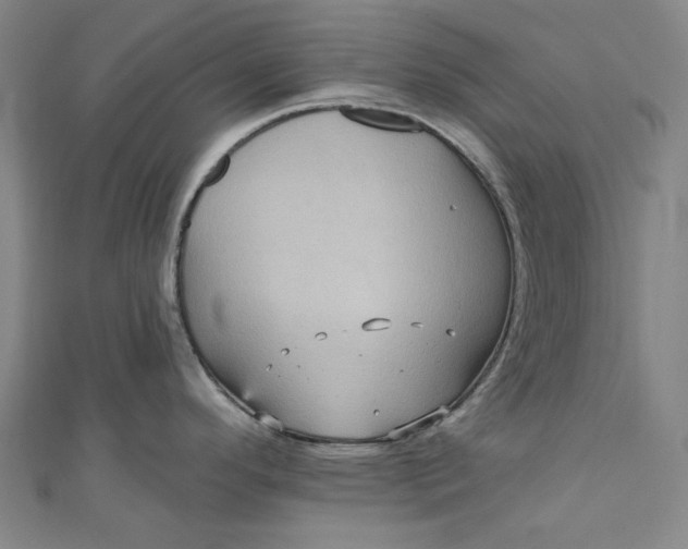 X0000111461296200907271243