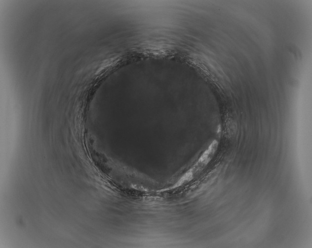 X0000111461297200907271243