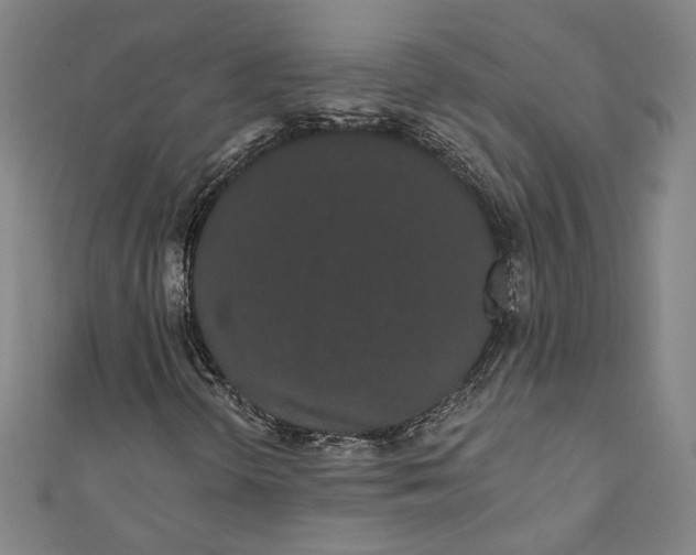 X0000111461298200907271243