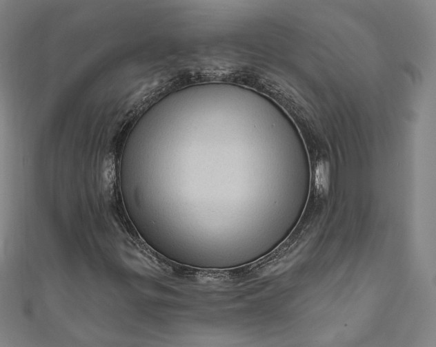 X0000111461299200907271243