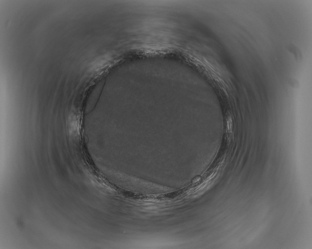 X0000111461300200907271243