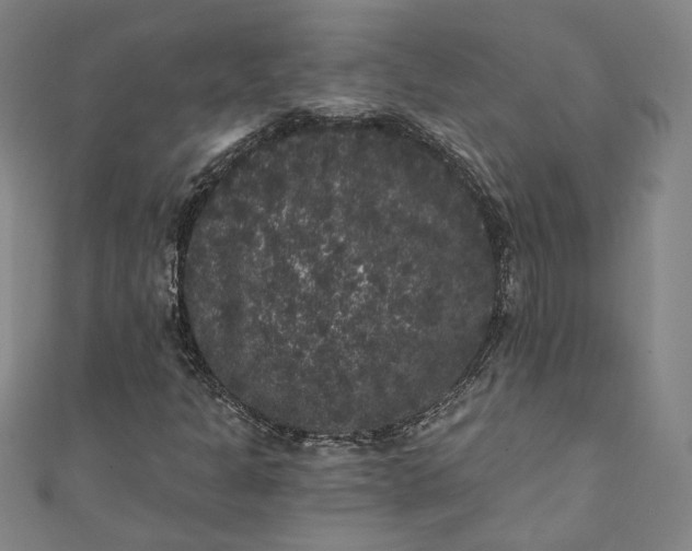 X0000111461301200907271243