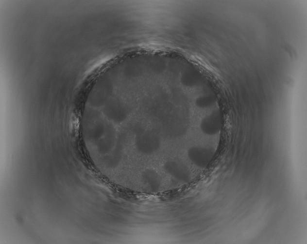 X0000111461302200907271243