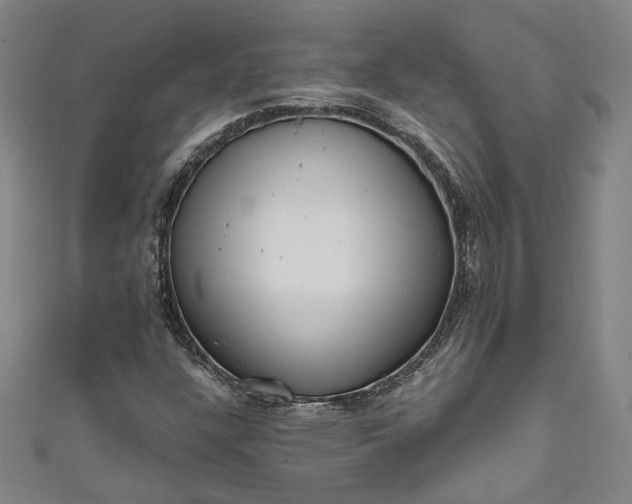 X0000111461304200907271243