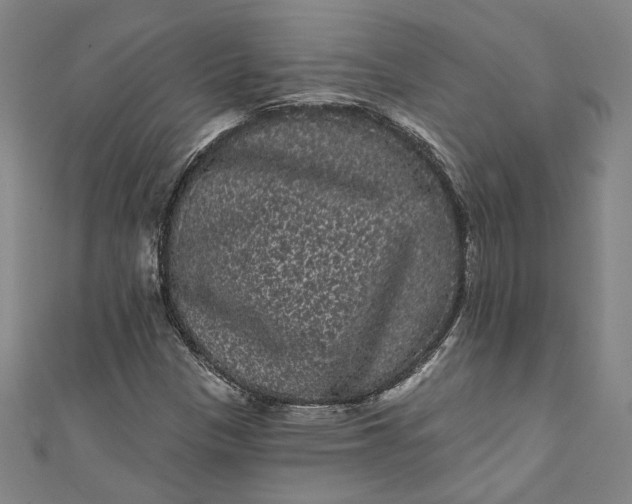 X0000111461305200907271243