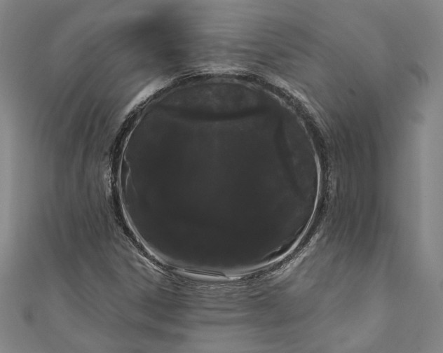 X0000111461306200907271243