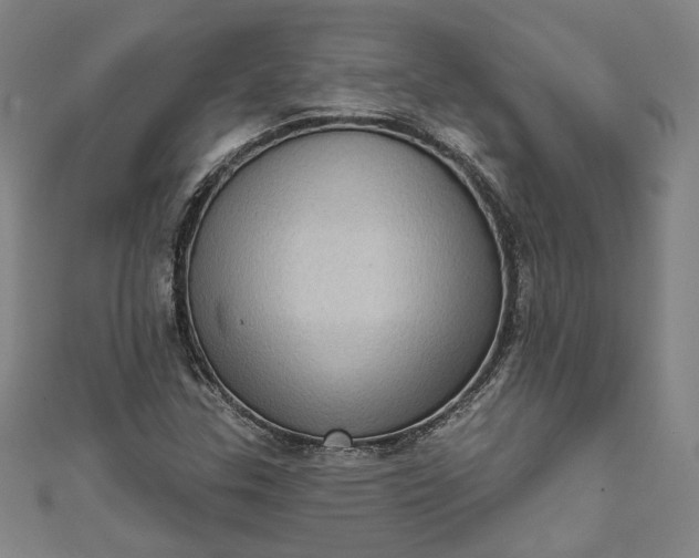 X0000111461307200907271243