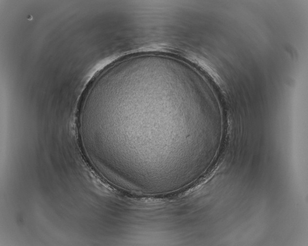 X0000111461308200907271243