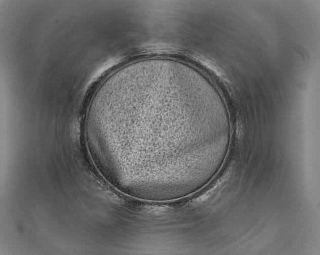 X0000111461309200907271243