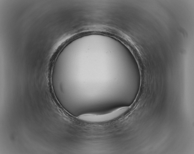 X0000111461312200907271243