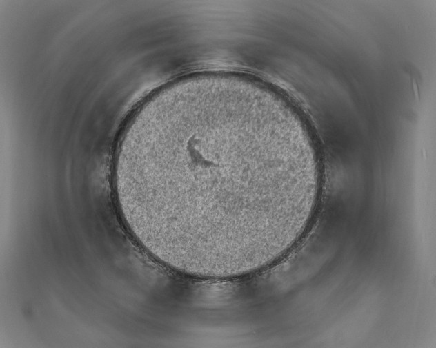 X0000111461314200907271243