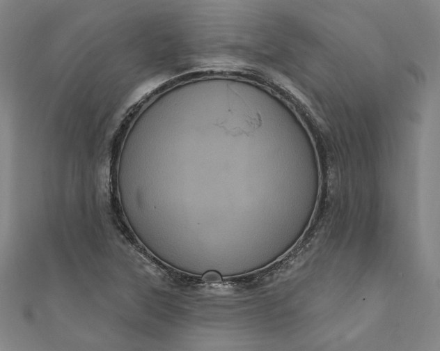 X0000111461315200907271243