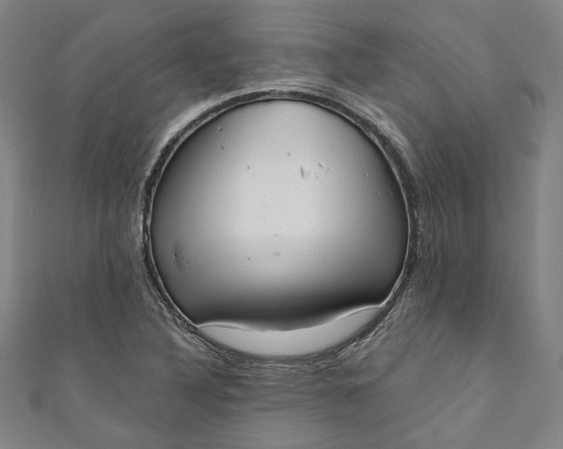 X0000111461316200907271243