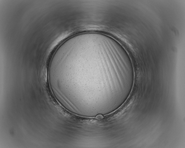 X0000111461317200907271243