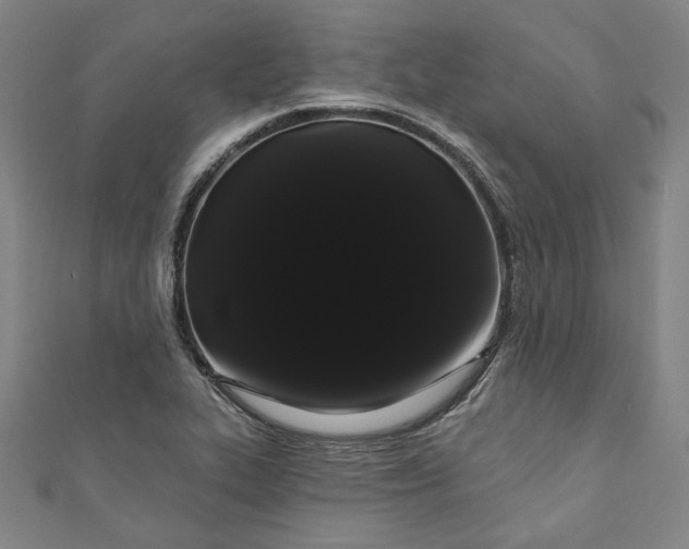 X0000111461319200907271243