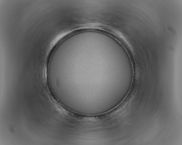 X0000111461320200907271243