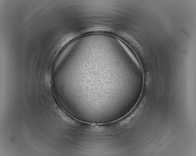 X0000111461321200907271243