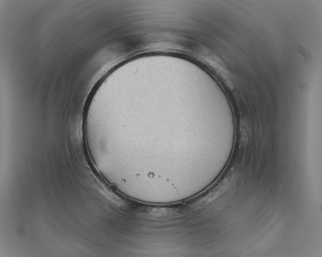 X0000111461322200907271243