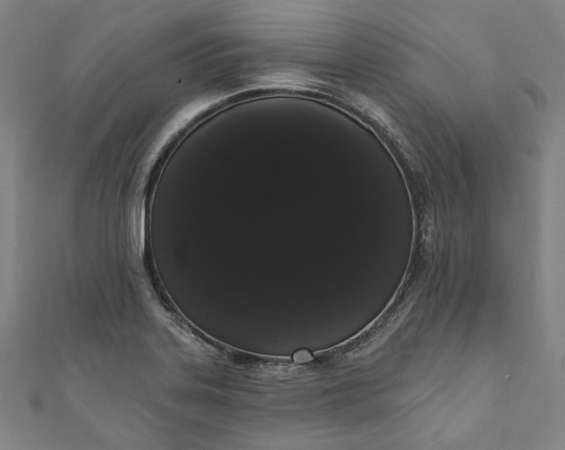 X0000111461323200907271243