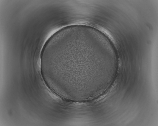 X0000111461324200907271243