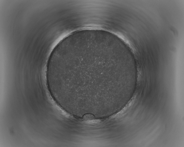 X0000111461325200907271243