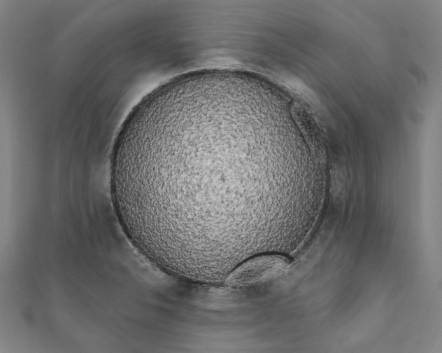 X0000111461326200907271243