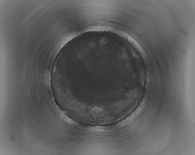 X0000111461329200907271243