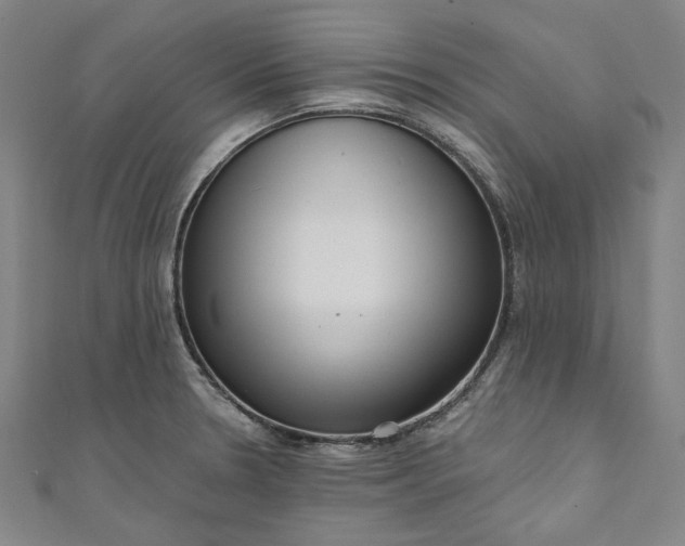 X0000111461330200907271243