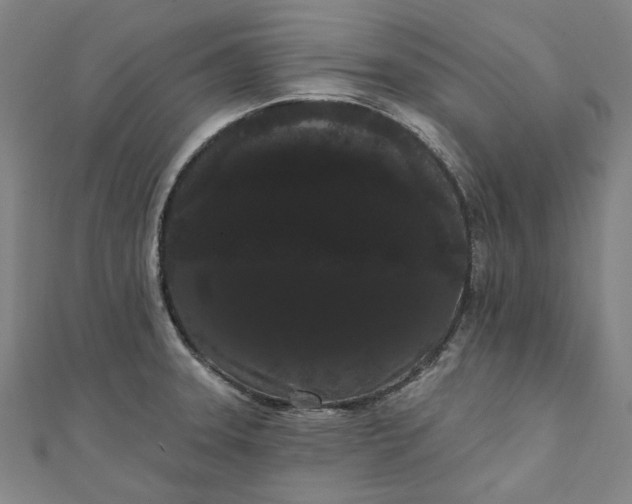 X0000111461331200907271243