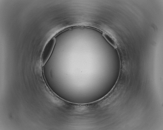 X0000111461332200907271243