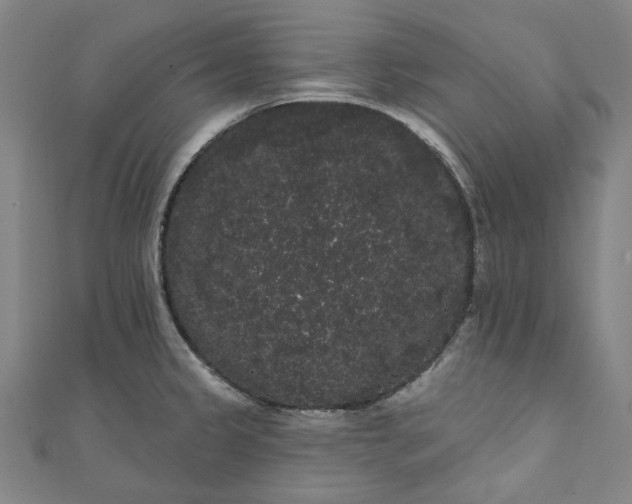 X0000111461333200907271243