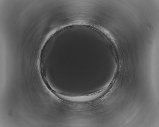 X0000111461334200907271243