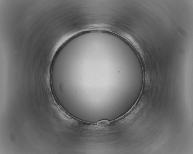 X0000111461336200907271243