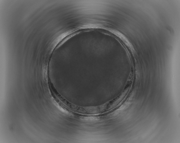 X0000111461337200907271243