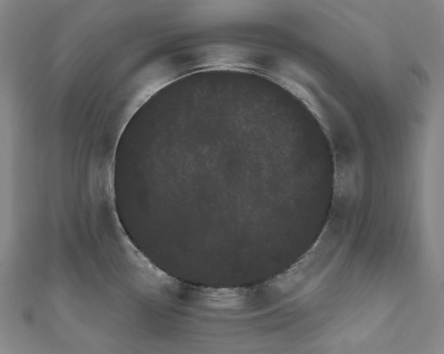 X0000111461338200907271243