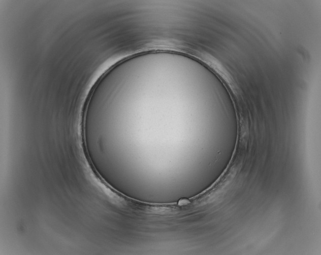 X0000111461339200907271243