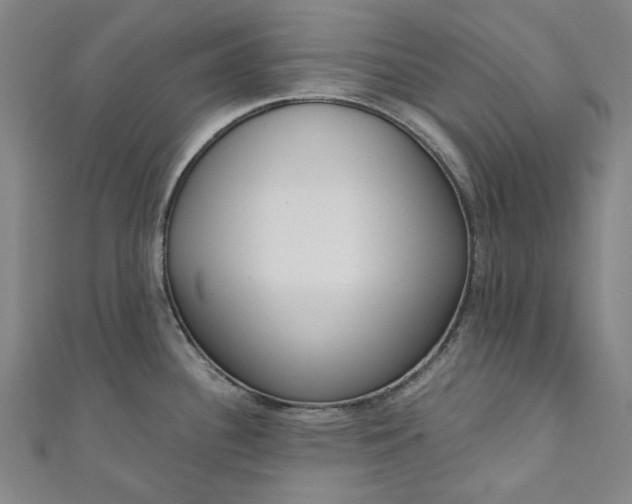 X0000111461340200907271243