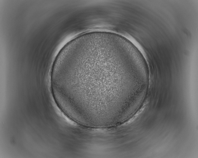 X0000111461341200907271243