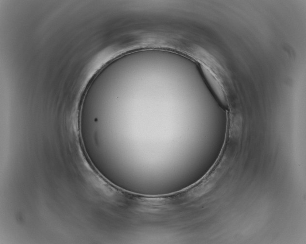 X0000111461342200907271243