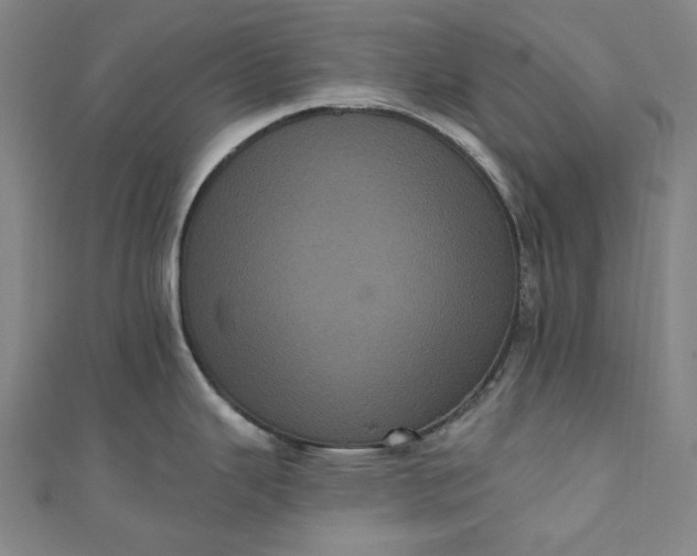 X0000111461343200907271243